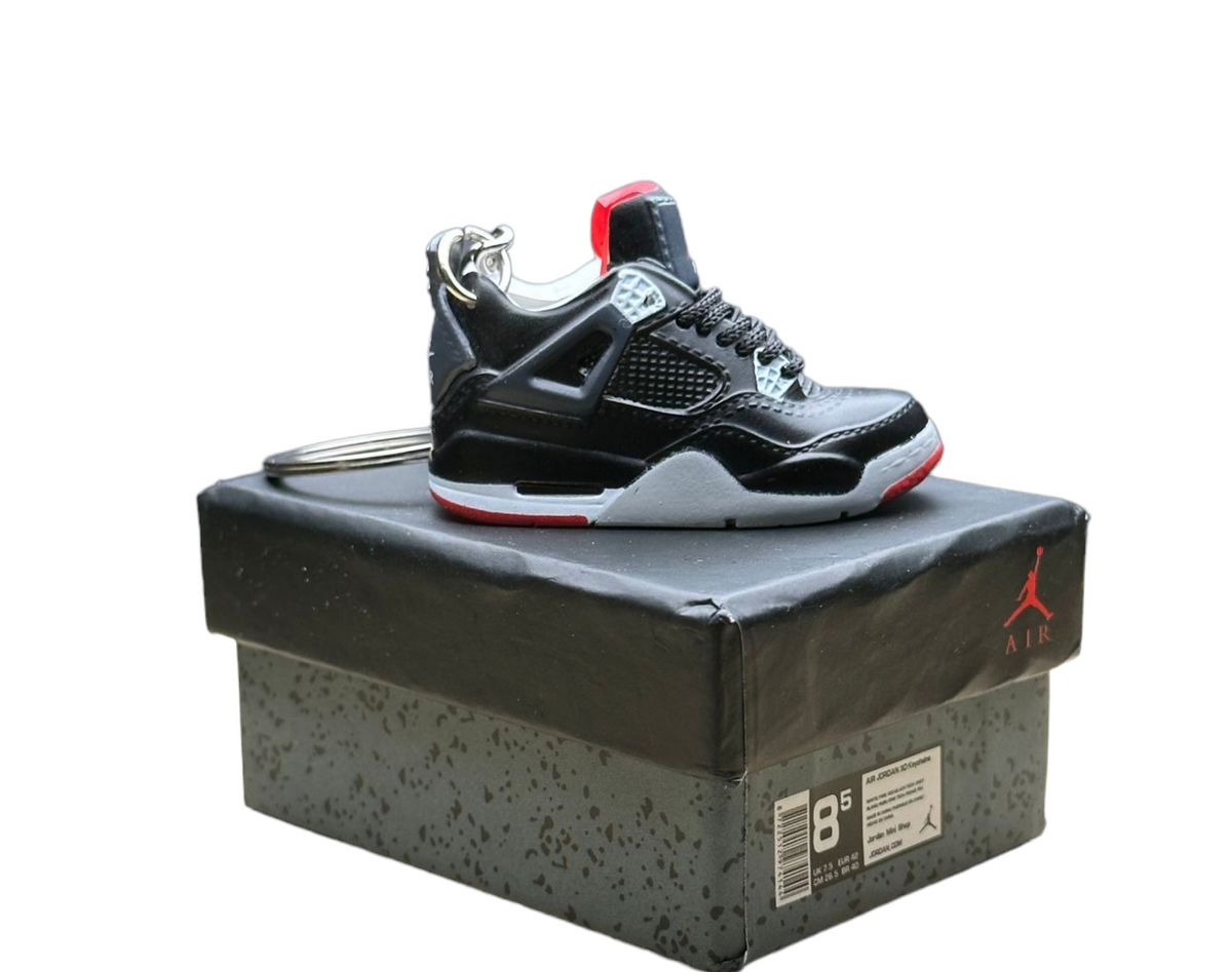 LKJ 4 Trainer Keychain With Mini Shoe Box