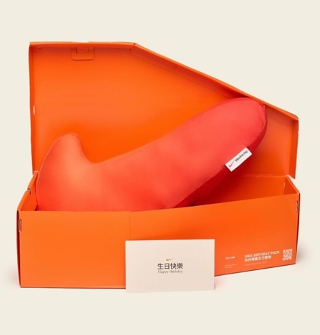 Swoosh Pillow
