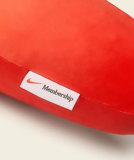 Swoosh Pillow