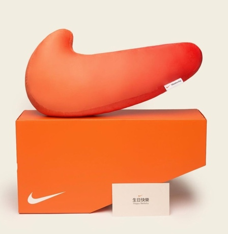 Swoosh Pillow