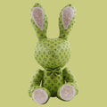 BIG BEAR MONOGRAM IN GREEN
